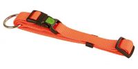 Kerbl - Collier nylon Chien Miami T30 à 45cm en lot