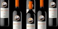 Malleolus Vin de réserve 6 bouteilles