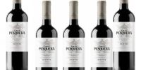 Pesquera Vin de réserve 6 bouteilles